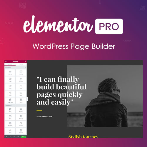 Elementor Pro Wordpress Plugin