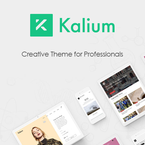 Kalium Creative Theme