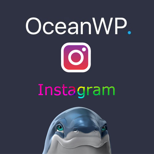 Oceanwp Instagram Addon